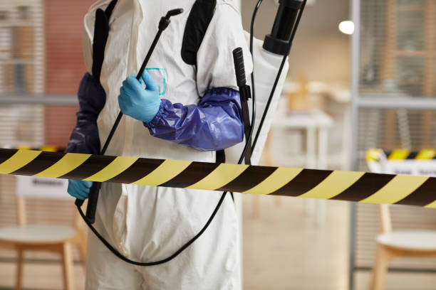 Professional Sewage Cleanup technician working in Hastings, MN